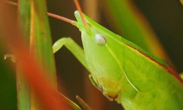 c0369423_17045613.jpg
