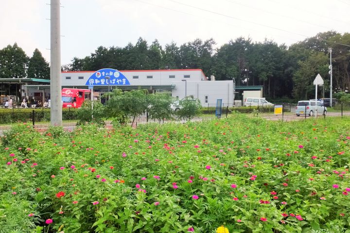 a0166324_1442113.jpg