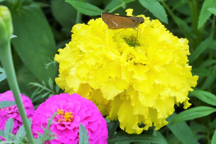 a0166324_1445533.jpg