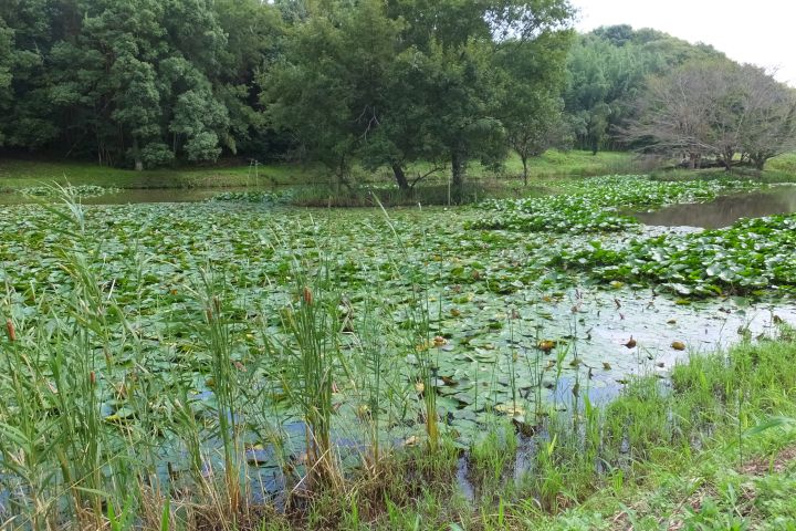 a0166324_14565221.jpg