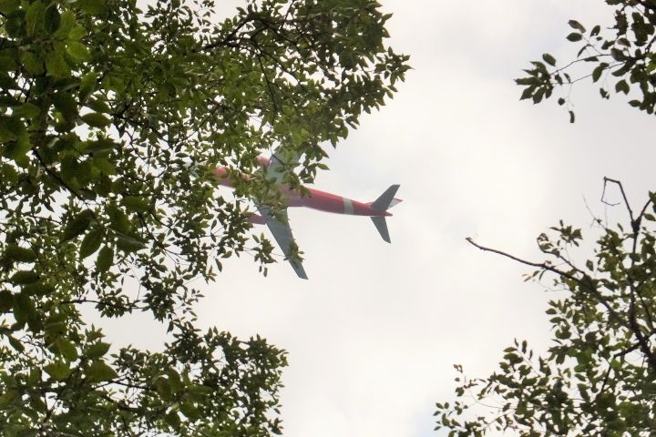 a0166324_15445081.jpg