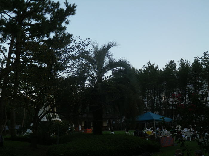 d0174124_15314907.jpg