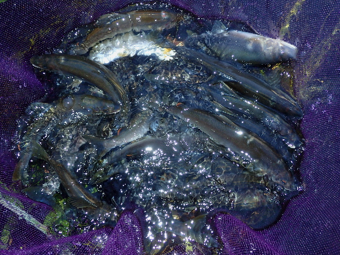 f0103126_20232659.jpg
