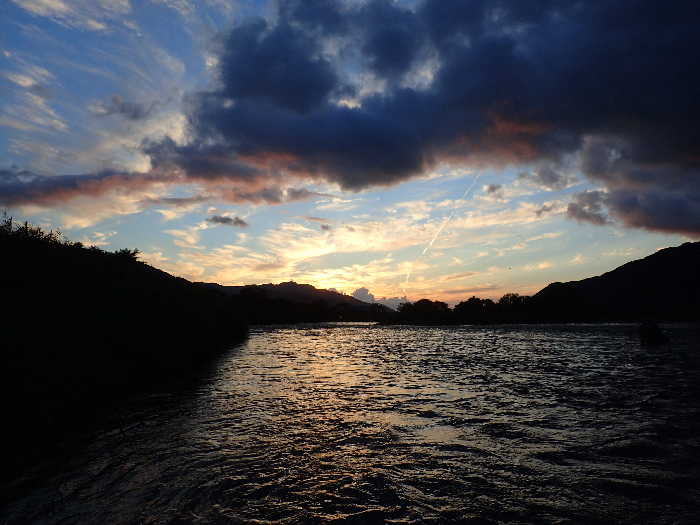 f0103126_2053911.jpg