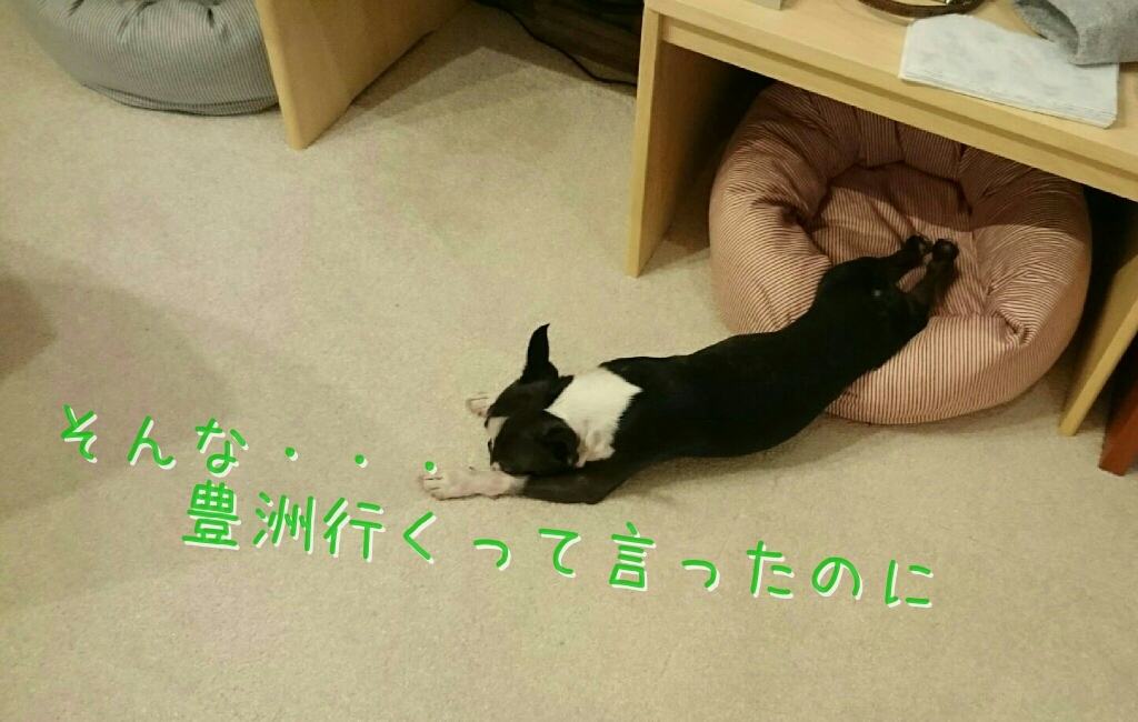 c0209932_00362396.jpg