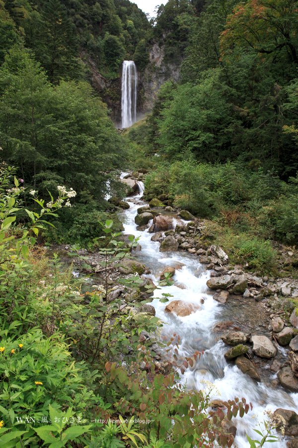 d0289733_22194325.jpg