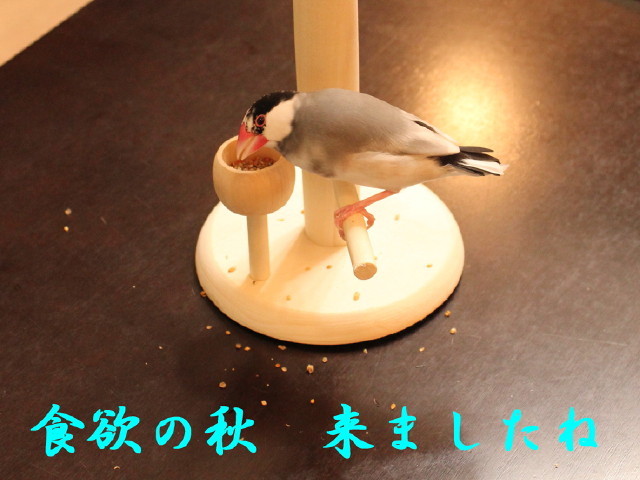 c0365734_23275957.jpg