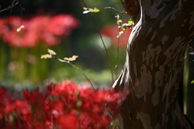 a0242438_1853641.jpg