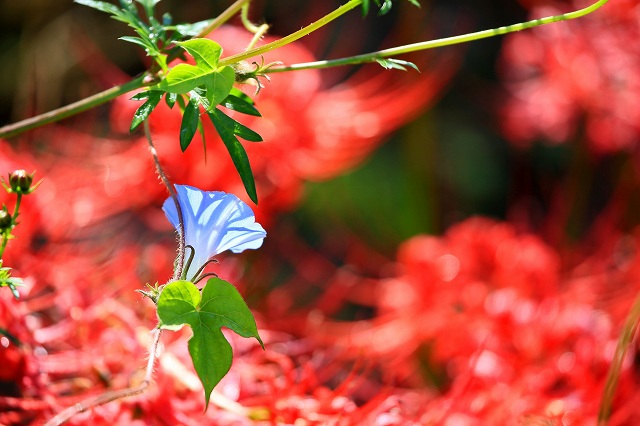 a0242438_1856289.jpg