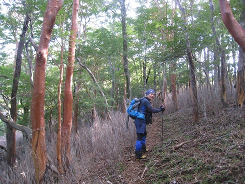 c0077338_6183615.jpg