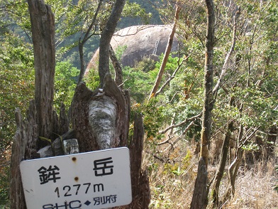 c0077338_6185621.jpg