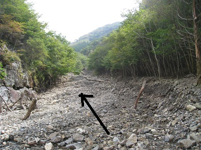 c0077338_619429.jpg