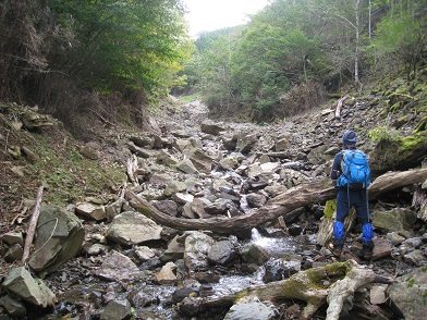 c0077338_6195668.jpg