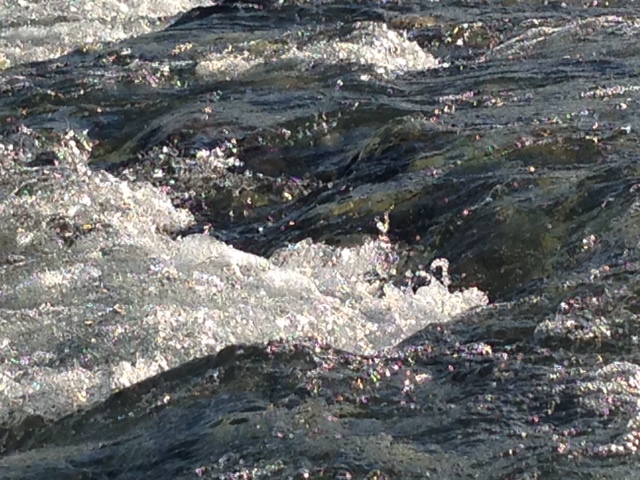 c0343447_755937.jpg