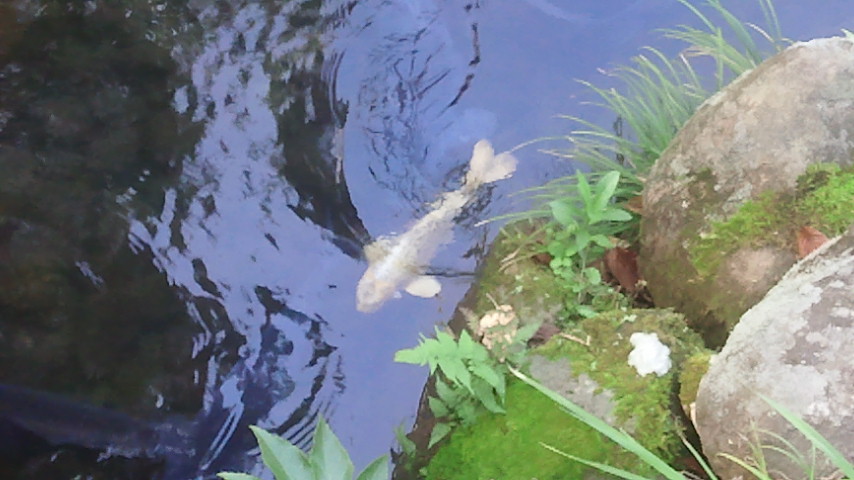 f0046250_1294263.jpg