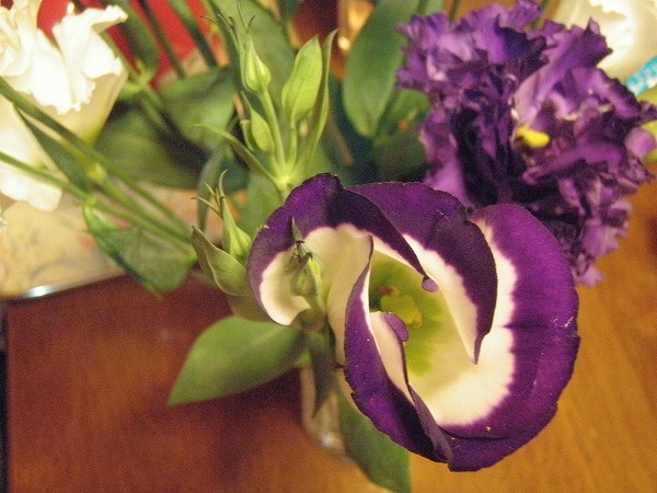 c0327752_16090279.jpg