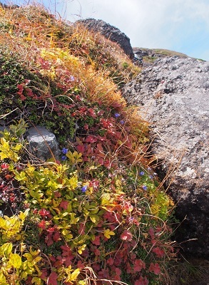 b0335256_09272704.jpg