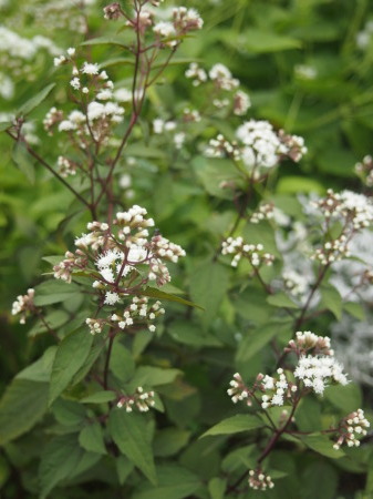 b0246758_20035936.jpg