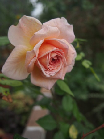 b0246758_20340980.jpg