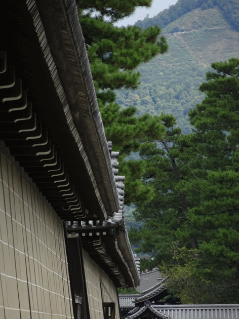 e0346064_1847291.gif
