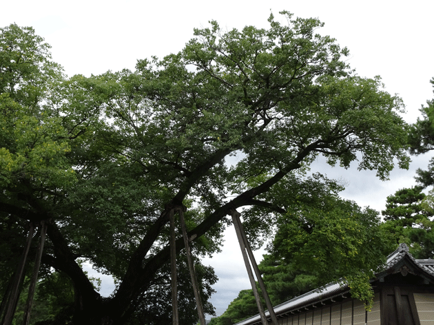 e0346064_18473957.gif
