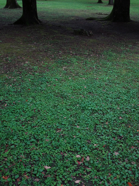 e0346064_18481677.gif