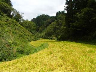 b0079965_9174665.jpg