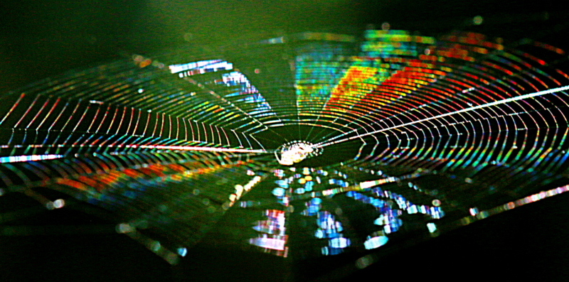 c0305565_18130237.jpg