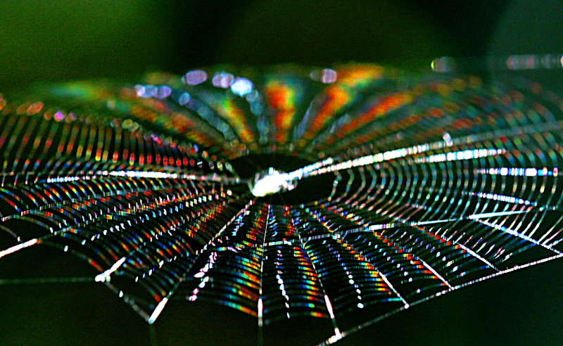 c0305565_18131283.jpg