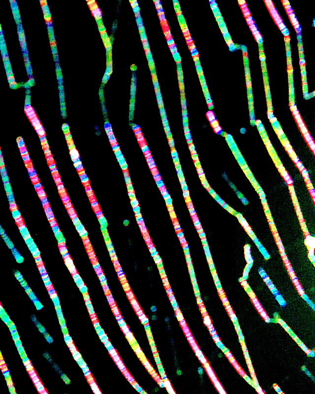 c0305565_18134730.jpg