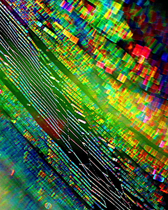 c0305565_18135849.jpg