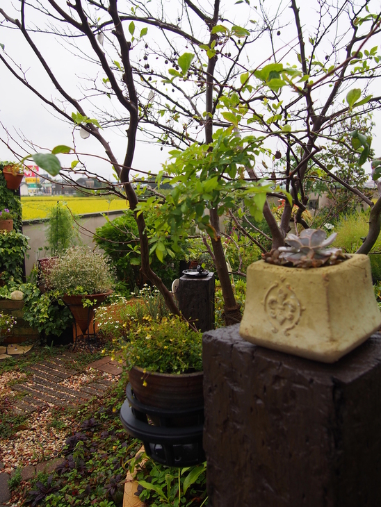 b0194267_2135372.jpg