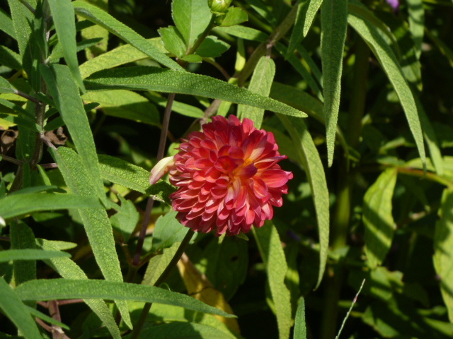e0278968_21191427.jpg