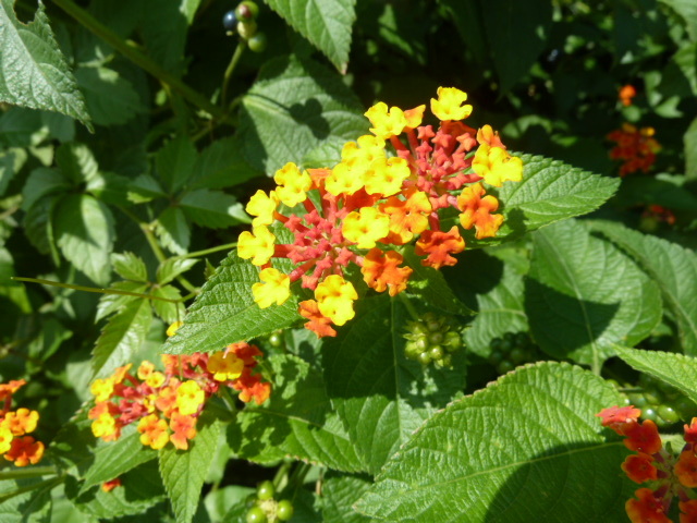 e0278968_21203913.jpg