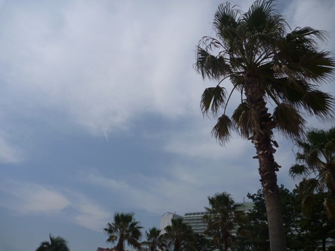 e0161972_8244134.jpg
