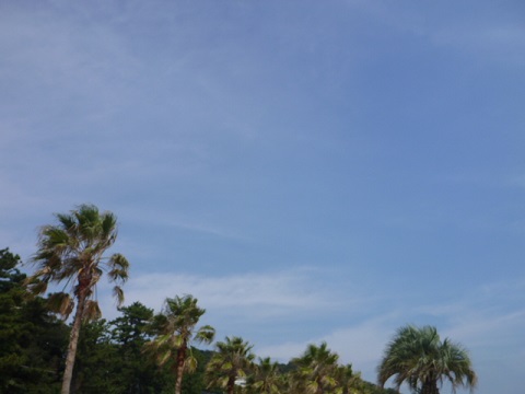 e0161972_8564948.jpg