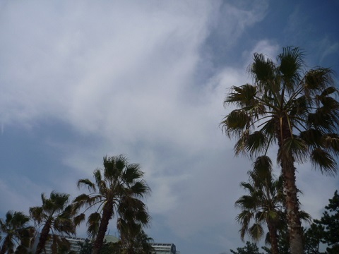 e0161972_882988.jpg