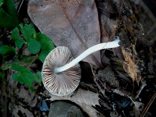 d0019074_855359.jpg