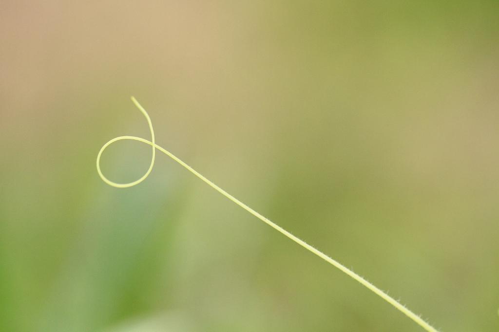 c0356480_22441094.jpg