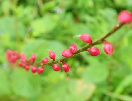 a0125598_22272860.jpg