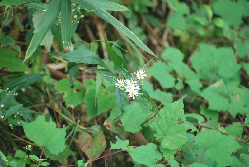 e0025300_18404772.jpg