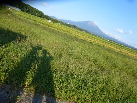 e0078404_1039311.jpg
