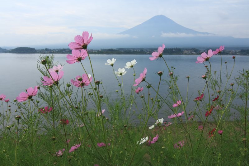 a0188405_07390030.jpg