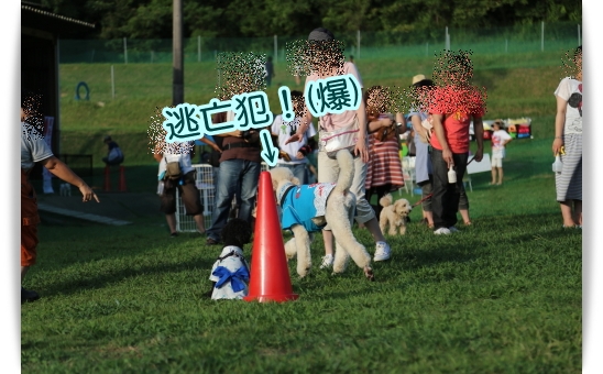 e0100007_916251.jpg