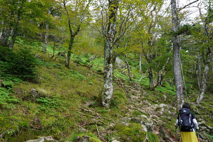 e0077010_19132024.jpg