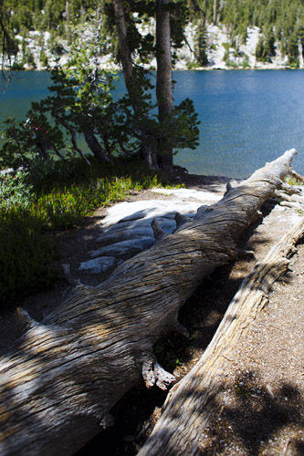 c0148812_9351310.jpg