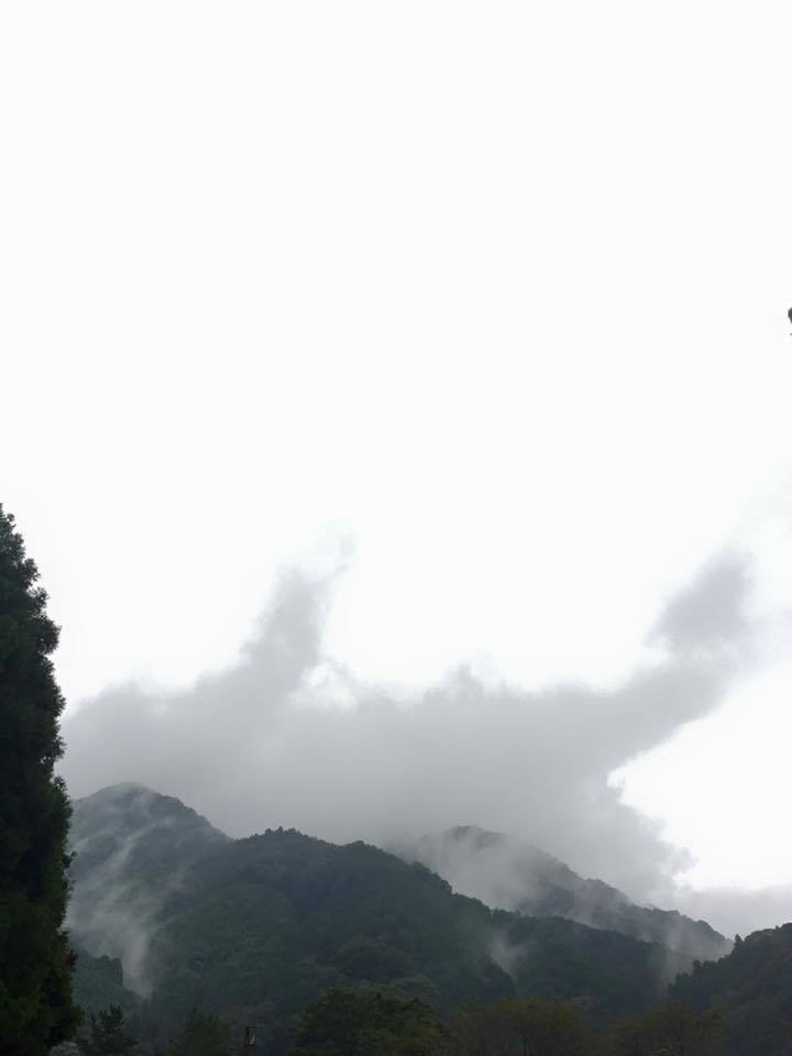 d0114813_17165822.jpg