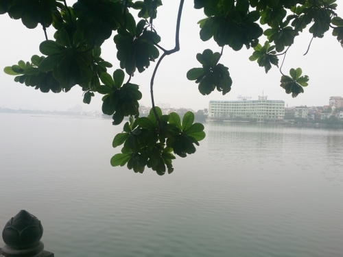 c0352015_20345779.jpg