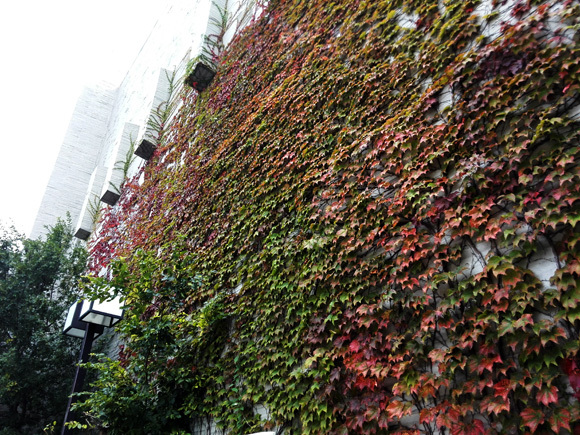 e0083517_23334402.jpg