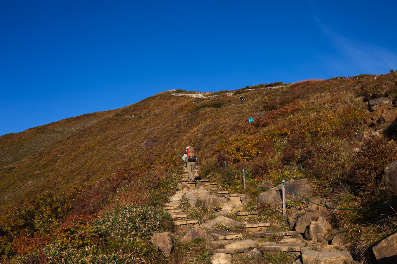c0369219_22114414.jpg
